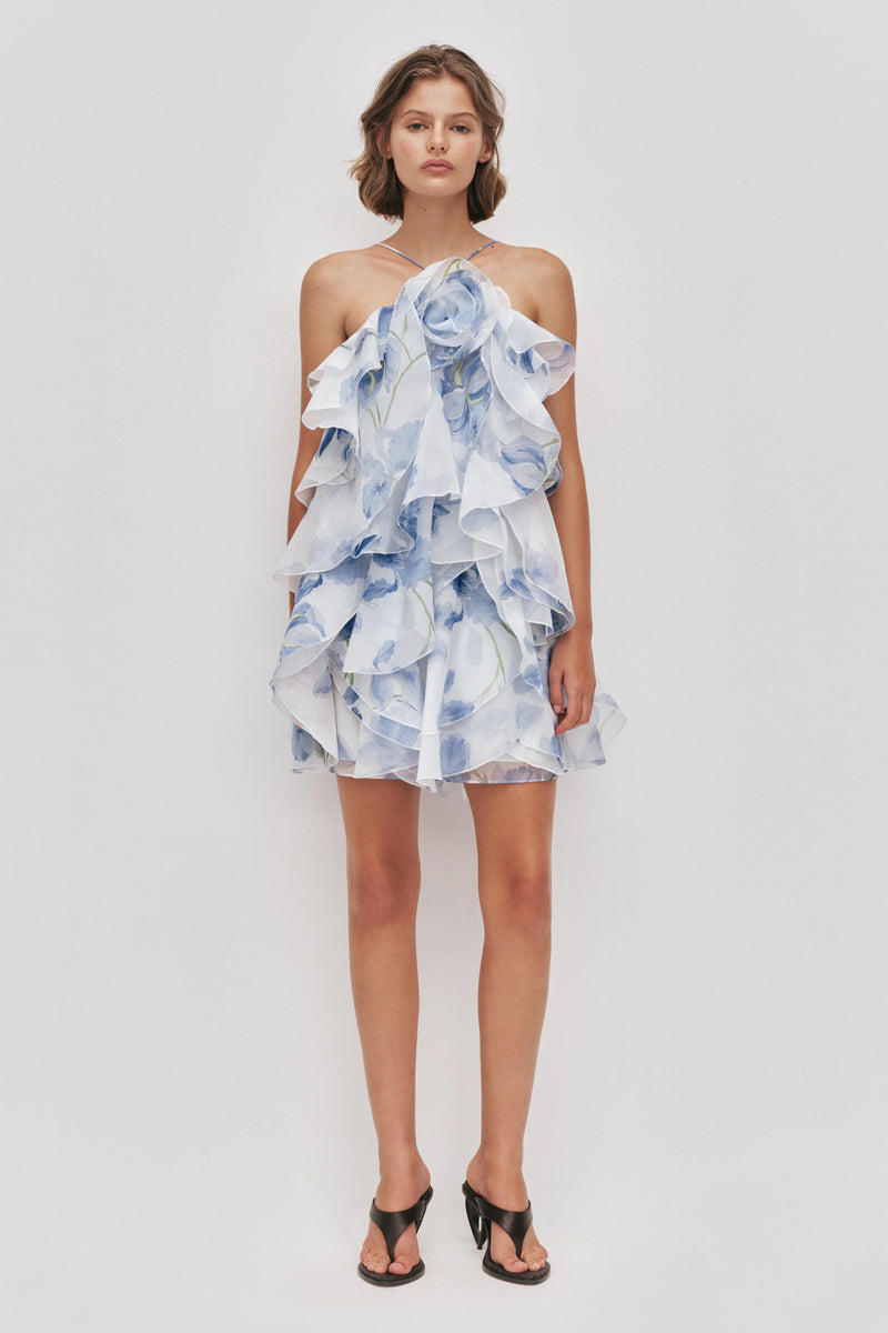 Pandorea Layered Dress