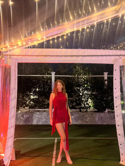 Deija Mini Dress in Strawberry
